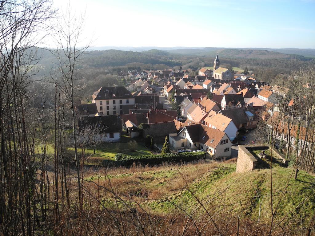 Au Pied Du Chateau Lichtenberg 部屋 写真